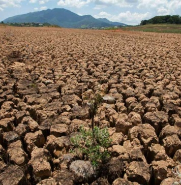 Chile buscará mejorar la calidad del aire y fortalecer su compromiso contra el cambio climático