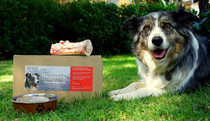 huargos-innovadora-alimentacion-canina-es-creada-en-chile-por-veterinaria-emprendedora