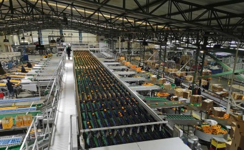 Tecnolohía Blockchain de IBM permite monitorear las frutas producidas en Chile y asegurar su calidad hasta la mesa de la casa en Chile y el mundo AGRICOM