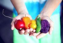 Cultivo sustentable en el hogar