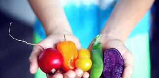 Cultivo sustentable en el hogar