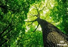 electromovilidad volcan