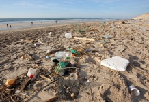 concurso Conecta y Colabora de Corfo