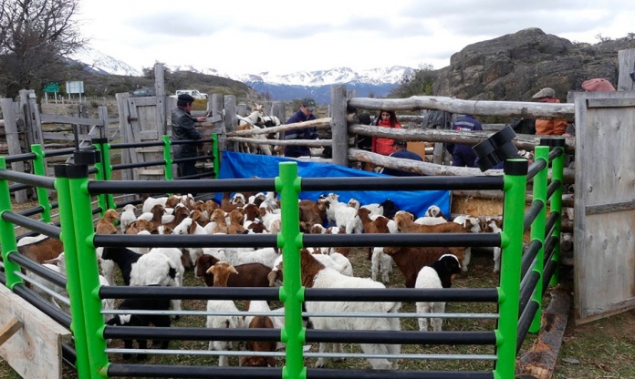 residuos plásticos agrícolas