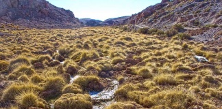 Proponen cinco medidas para abordar la crisis del agua en la reactivación sostenible