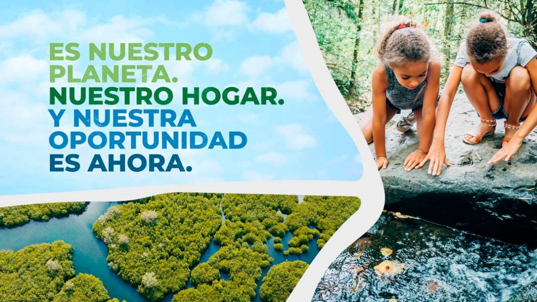 P&G Da A Conocer Sus Próximos Pasos Para Mitigar El Cambio Climático ...