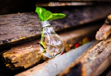 programa Semilla Expande de Corfo