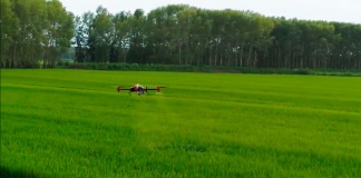Drones para la Agroindustria