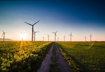 empresas-se-unen-a-compromiso-internacional-para-proteger-el-clima