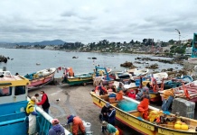 SUBPESCA, IFOP y Fundación Chile elaboran plan de acción para disminuir pérdidas y desperdicios pesqueros en caletas