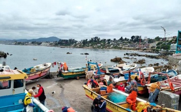SUBPESCA, IFOP y Fundación Chile elaboran plan de acción para disminuir pérdidas y desperdicios pesqueros en caletas