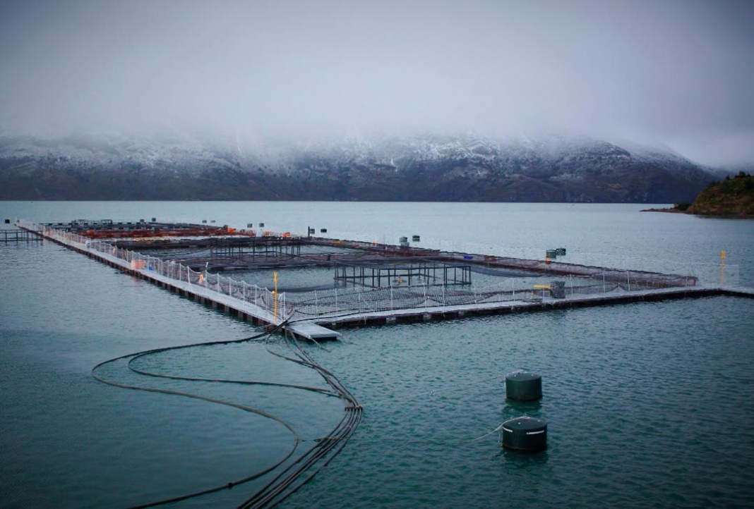 Asociación de Salmonicultores de Magallanes lanza el primer código de ética de la industria en Chile