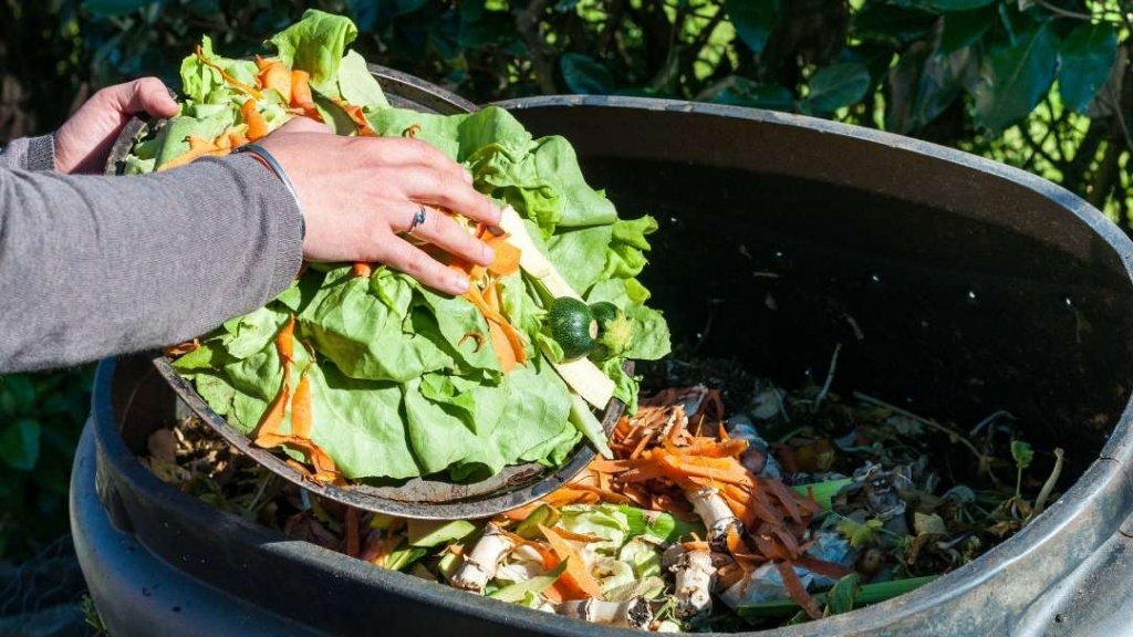 El Reciclaje De Residuos Orgánicos Como Una Vía Para Combatir El Cambio Climático Portal Innova