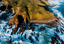 Los pasos para que una empresa tecnológica pueda convertirse en una compañía carbono neutral en Chile