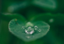 Huella de carbono: como reducirla con una cryptomoneda