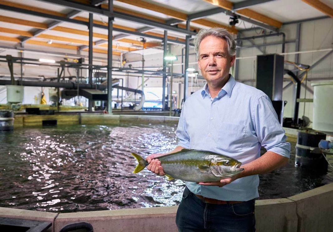 La iluminación LED de Signify ayuda a mejorar de manera sustentable el crecimiento de los peces de The Kingfish Company