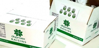 Sale primer embarque de carga de pasas desde Atacama al gigante Amazon