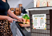 P&G Chile y Karübag inician alianza para fomentar el reciclaje de desechos orgánicos domiciliarios de los empleados de la compañía