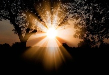 Sepa cómo la energía solar puede rebajar la cuenta de la luz drásticamente