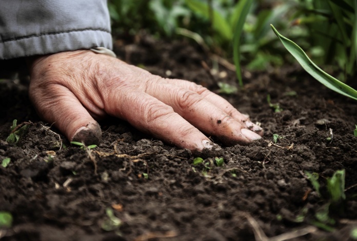 Directora ejecutiva del SEA: “Tengo la convicción de que la evaluación de impacto ambiental no ha sido un desincentivo para la inversión”