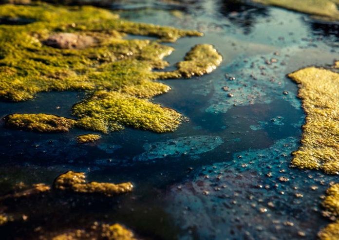 Skirt X12 anti bloom de Garware protege a centros de cultivos de floraciones algales nocivas Skirt X12 anti bloom de Garware protege a centros de cultivos de floraciones algales nocivas