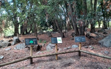 Empresario del sector turismo implementa proyecto temático en su negocio con aporte de Corfo