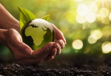 Cambia el curso del planeta: Claro lanza plataforma con cursos de sustentabilidad