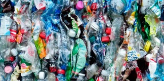 Día Mundial del Reciclaje: Cómo generar menos residuos en casa
