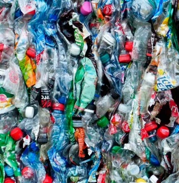 Día Mundial del Reciclaje: Cómo generar menos residuos en casa