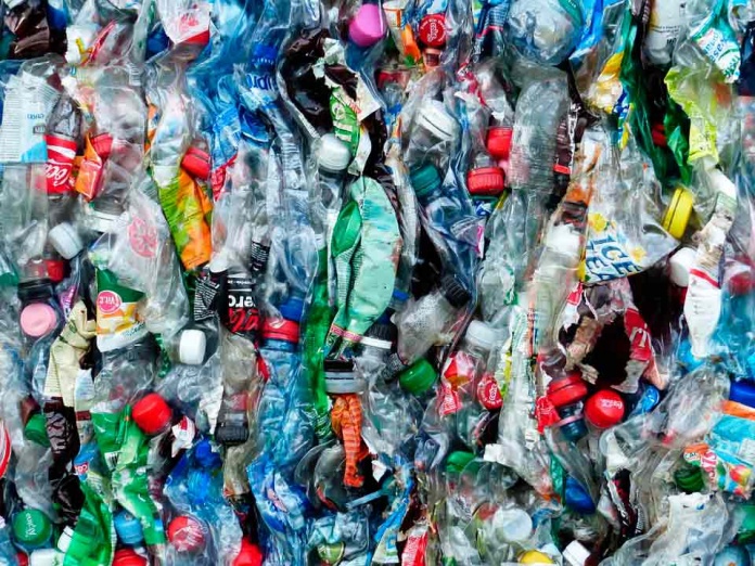 Día Mundial del Reciclaje: Cómo generar menos residuos en casa