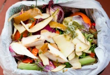 El reciclaje de residuos orgánicos en casa como una vía para combatir el cambio climático