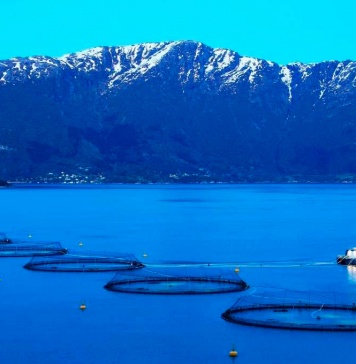 Garware es reconocida por su trayectoria en sostenibilidad