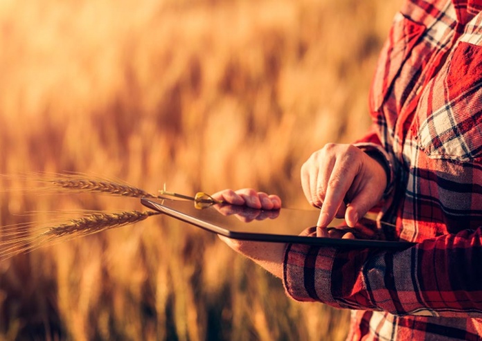 Renacimiento Rural, alternativa para el cambio social y económico en América Latina