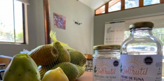 https://portalinnova.cl/emprendedores-de-til-til-sorprenden-al-mercado-con-miel-mermelada-y-jarabe-de-tuna/
