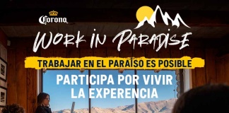 Se redefine el teletrabajo: Chile será sede del Primer Cowork en el paraíso
