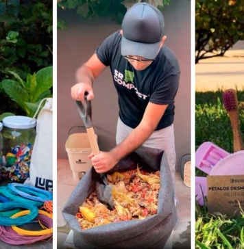 Tres destacadas startups de Santiago Innova que se alinean con la Ley de REP