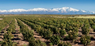 Doña Paula obtiene la certificación vegana LIAF para todas sus etiquetas