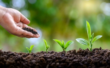 ¿Qué estás haciendo para reducir tu huella medioambiental?