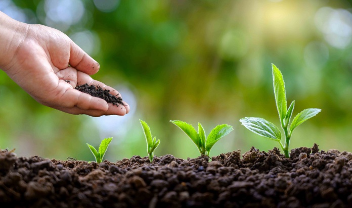 ¿Qué estás haciendo para reducir tu huella medioambiental?