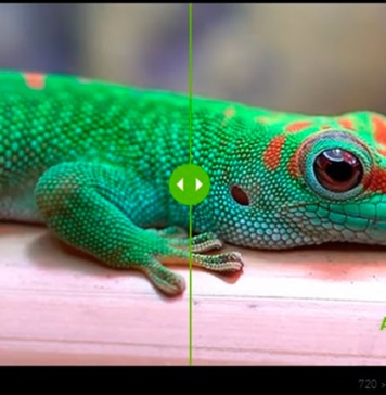 Más allá de los juegos: 10 formas en que NVIDIA está revolucionando el futuro con la inteligencia artificial