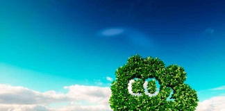 Bain & Company celebra su décimo aniversario como empresa 100% CarbonNeutral®