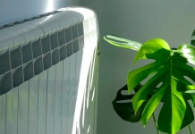 “Estamos hablando del futuro de nuestro planeta y la vida de las personas, no podemos darnos el lujo de tomar malas decisiones”