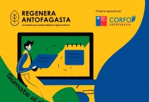Regenera Antofagasta ofrece capacitaciones gratis para emprendedores que quieran cambiar el mundo
