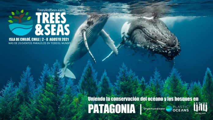 Festival de Conservación de Bosques y Playas Trees & Seas 2021. A una semana de la primera edición  del Festival Trees & Seas Ya empezó la reforestación masiva de más de 20.000 árboles nativos en la isla de Chiloé