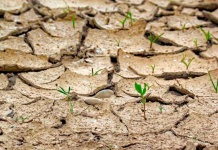 Cambio climático: del reto social a la gran oportunidad empresarial