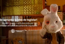 Comisión de Salud aprueba en general prohibición de experimentación de cosméticos en animales