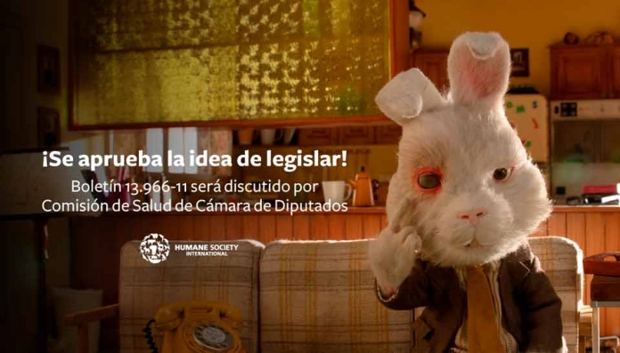 Comisión de Salud aprueba en general prohibición de experimentación de cosméticos en animales