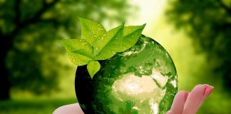 Estudio IBM: empresas aceleran iniciativas de sostenibilidad, pero menos de 1/3 de los retailers y las empresas de productos de consumo han definido formas de medir sus objetivos de sostenibilidad