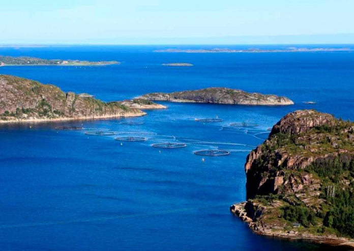 Quedan los últimos cupos para postular a ciclos formativos de academia acuícola convocado por INCUBATECUFRO Quedan los últimos cupos para postular a ciclos formativos de academia acuícola convocado por INCUBATECUFRO