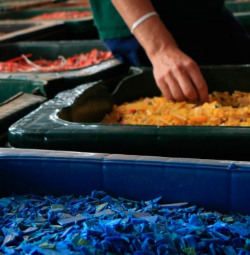 Millonaria inversión en empresa chilena mejorará producción sustentable de artículos con inyección de plástico nuevo y reciclado